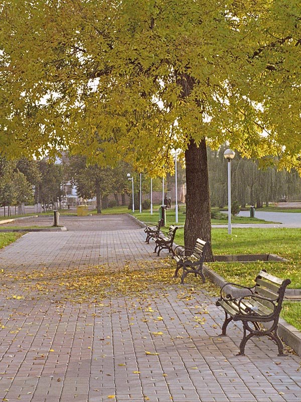 Orsha, town-park
