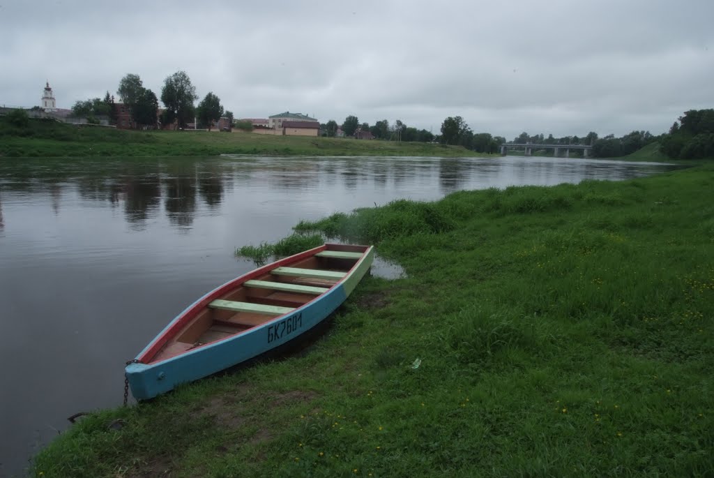 На Днепре