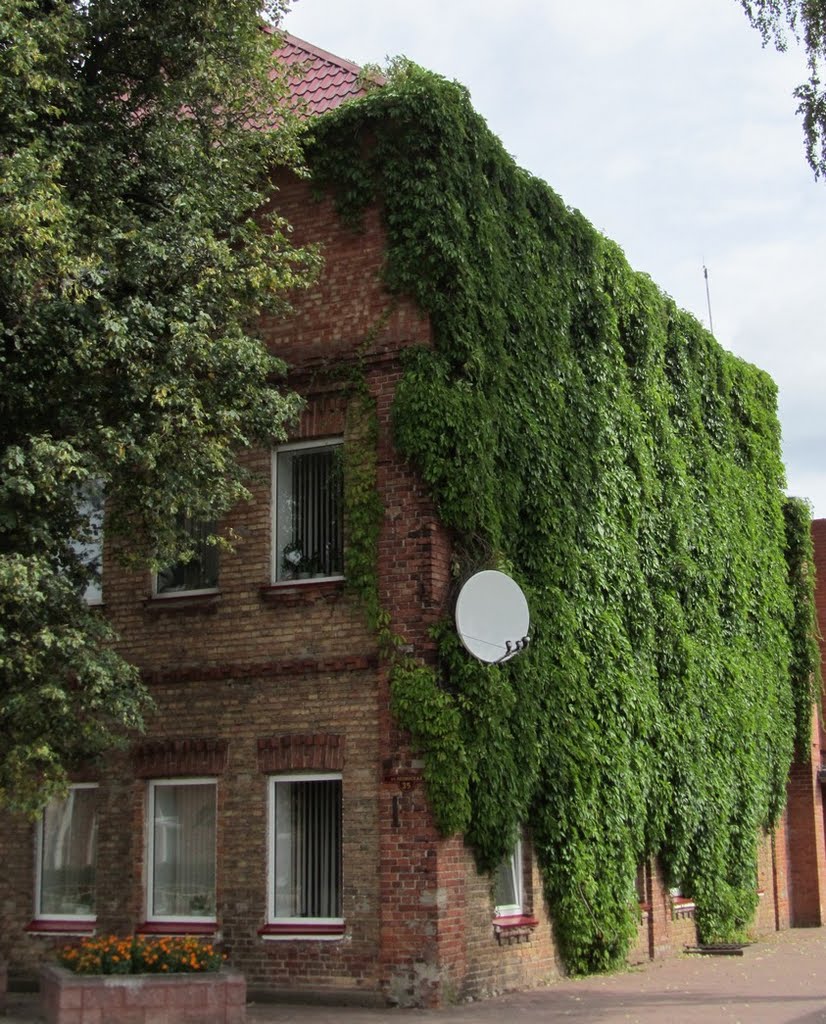The green-house. Postavy Town (2010)