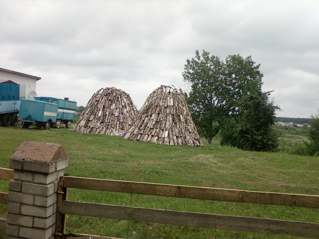 Паставы. Дровы ў скірдах.