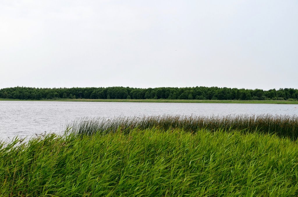 14-06 - Россоны