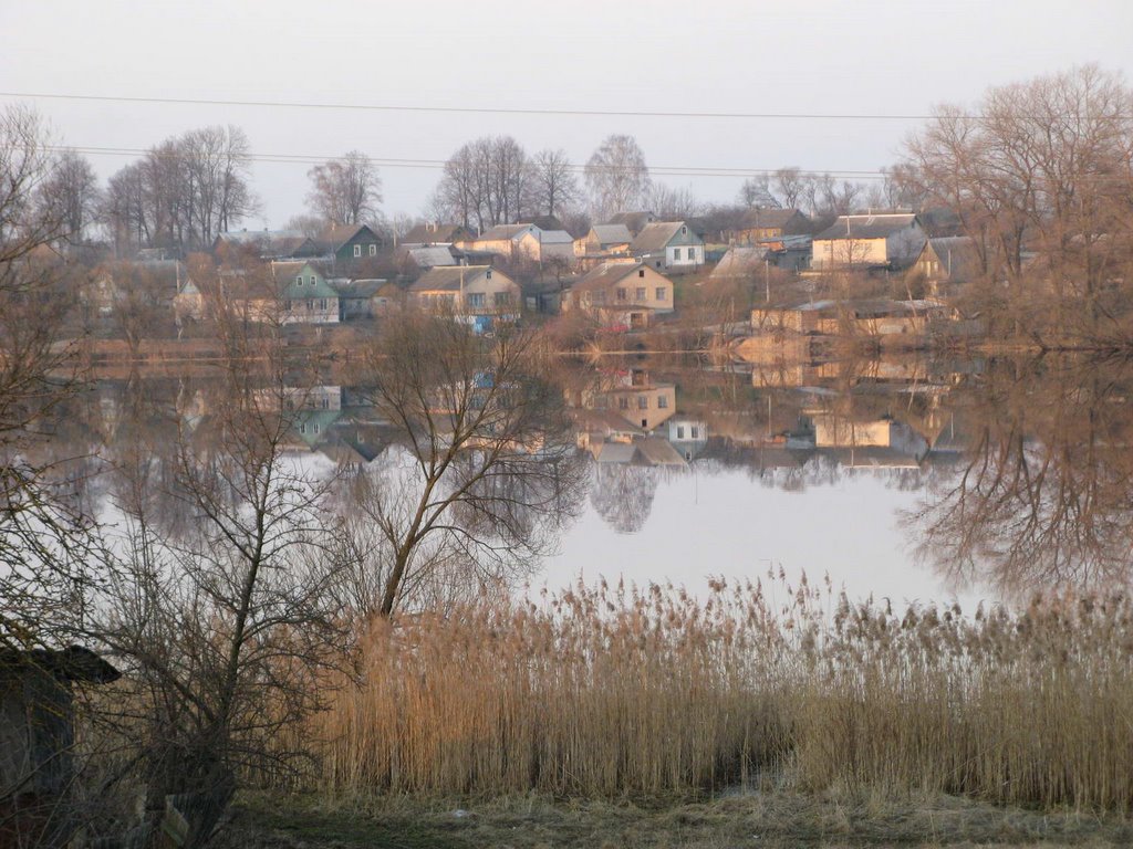 Голынка