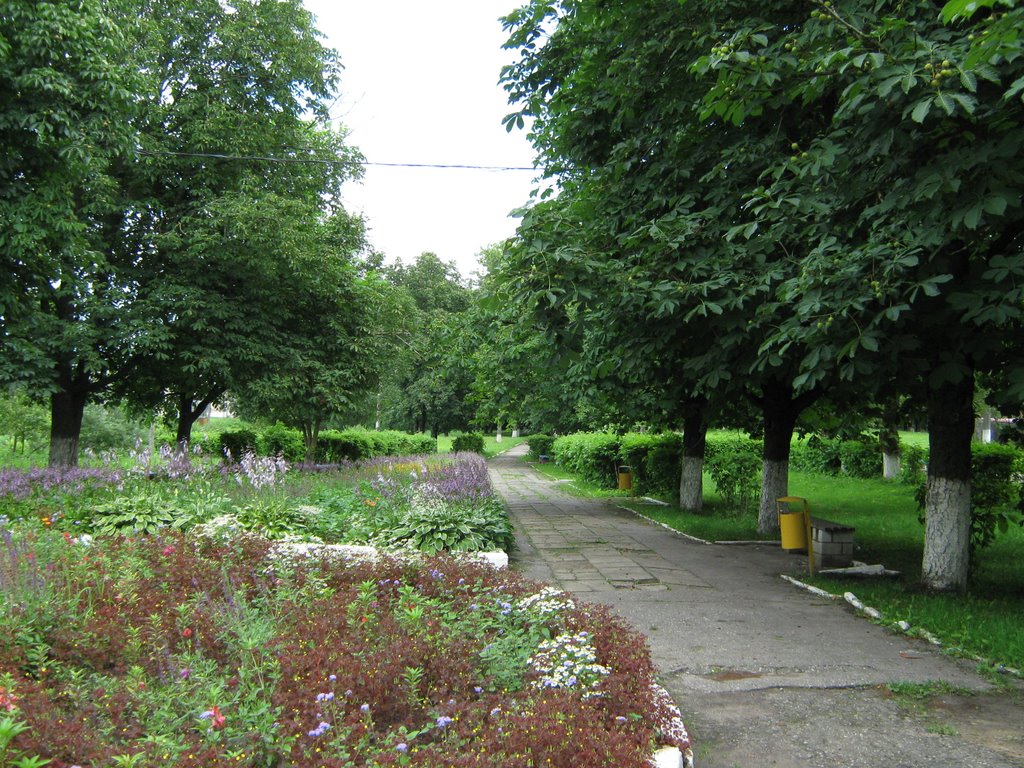Парк