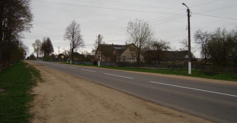 СЕННО 2011