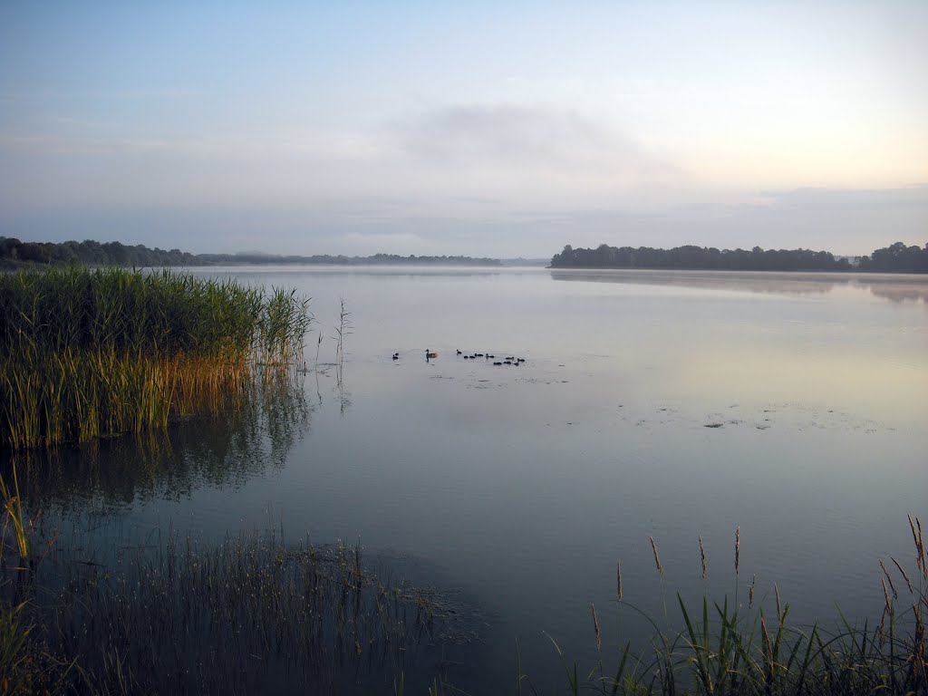 Раннее утро