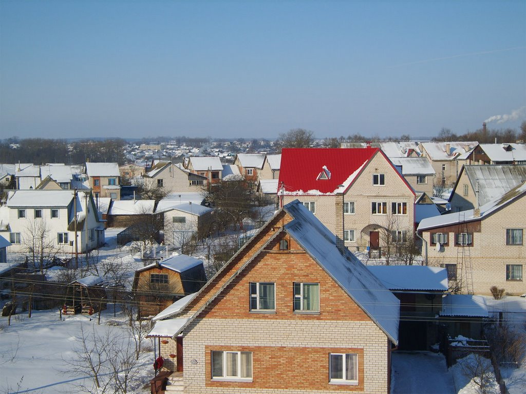 Зима 2009 (2)