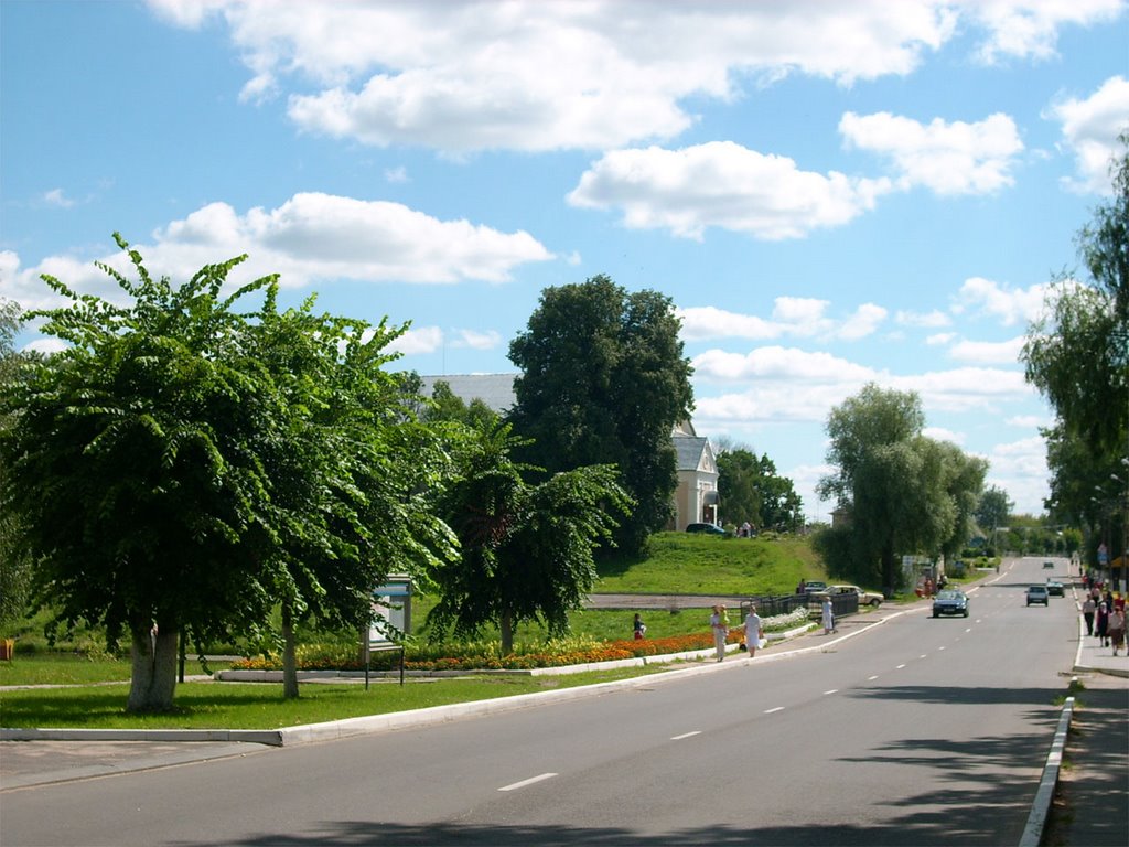 Толочинские пальмы