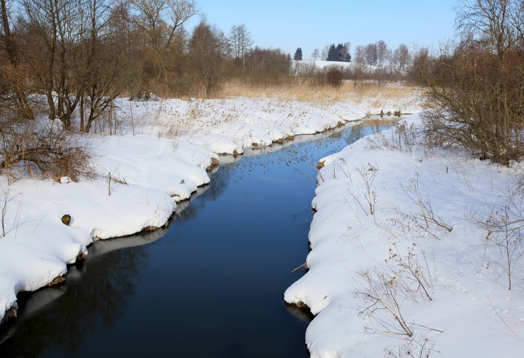 Река_Кривая120310