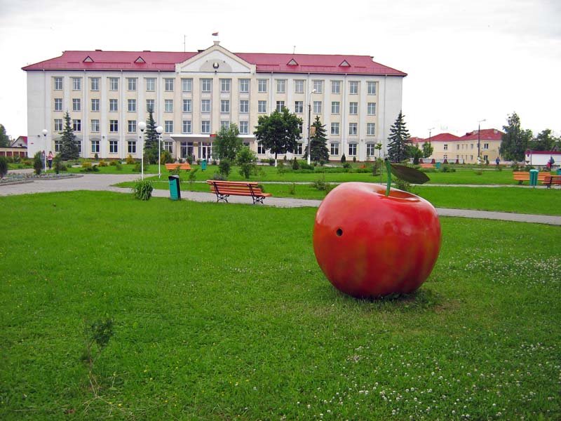 District executive committee building