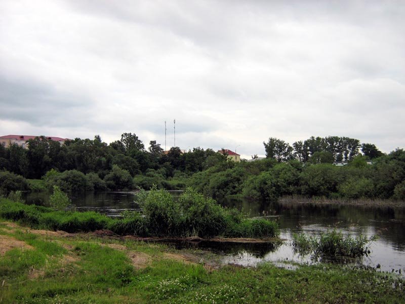 The river Disna