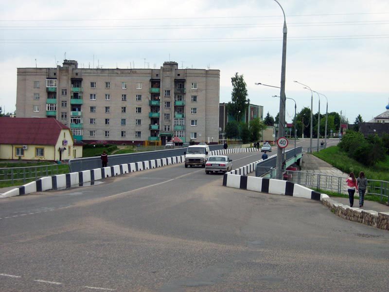 The bridge through the river Disna