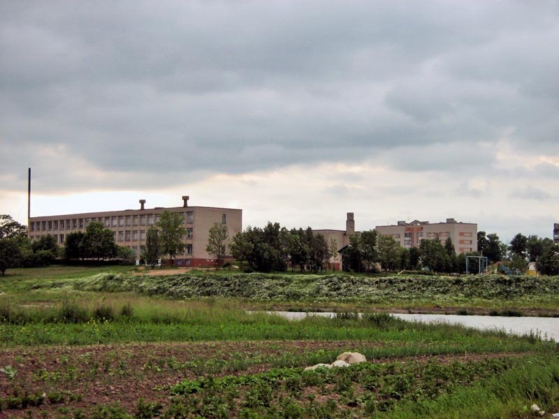School №1