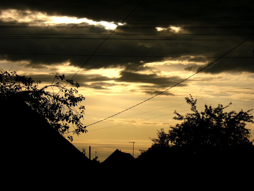 Belarus. sunset