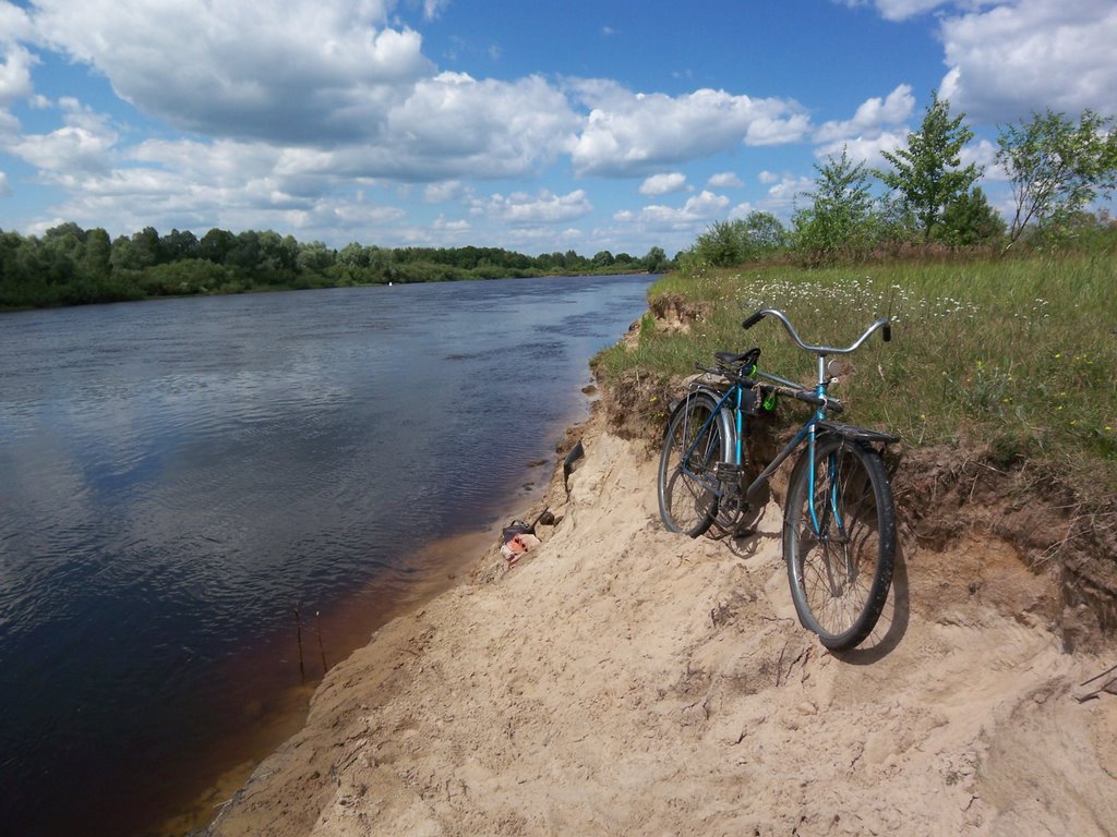 Bicycle on a bank