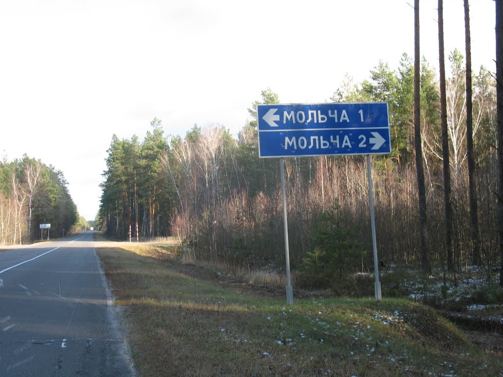 Parychy