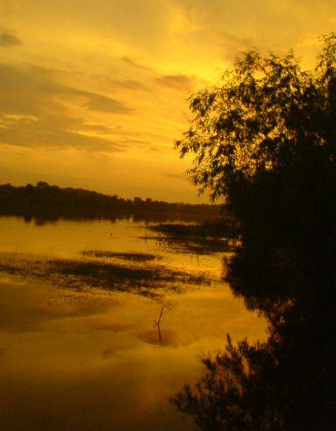 Прырода ... Nature