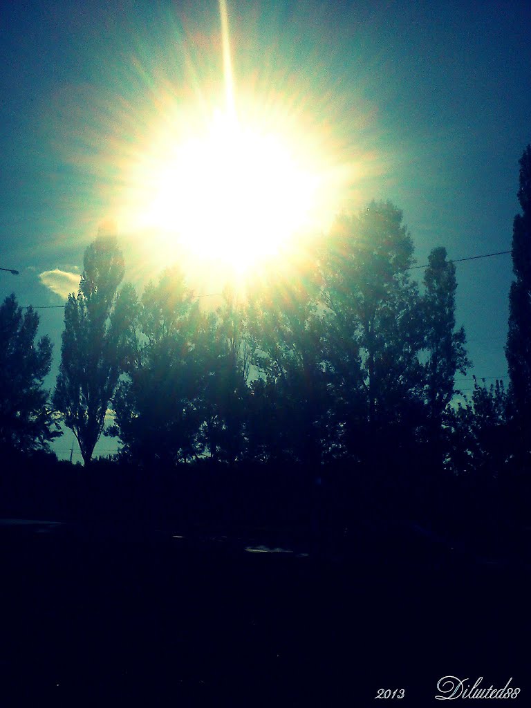 Праменьчыкі сонца скрозь дрэвы ... Rays of sun through the trees