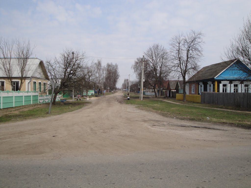 Большевик, ул.