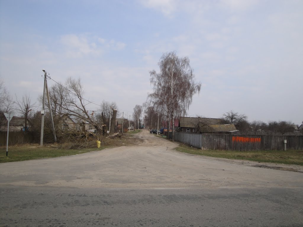 Большевик, ул.