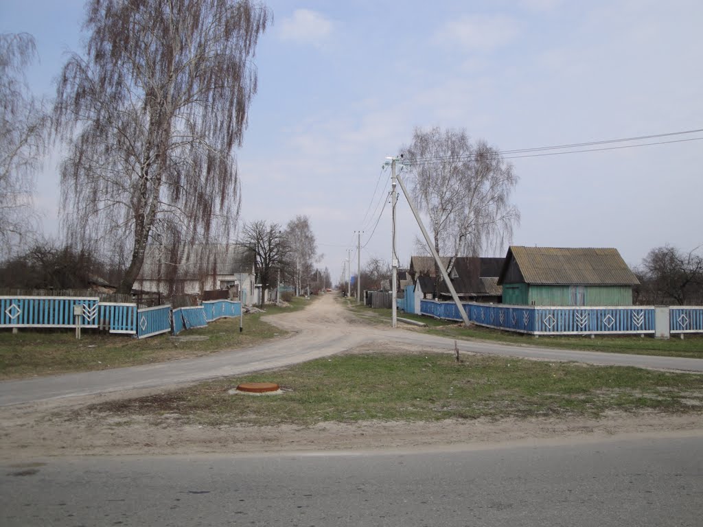 Большевик, ул.