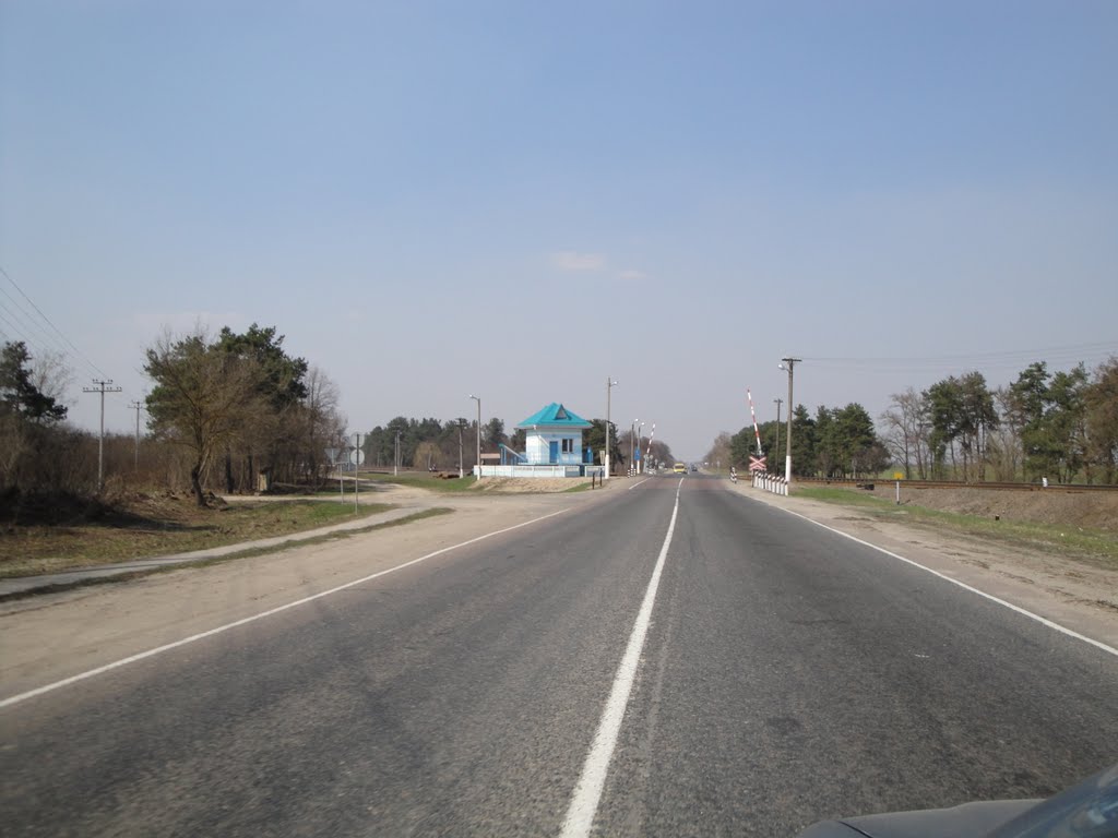 Большевик