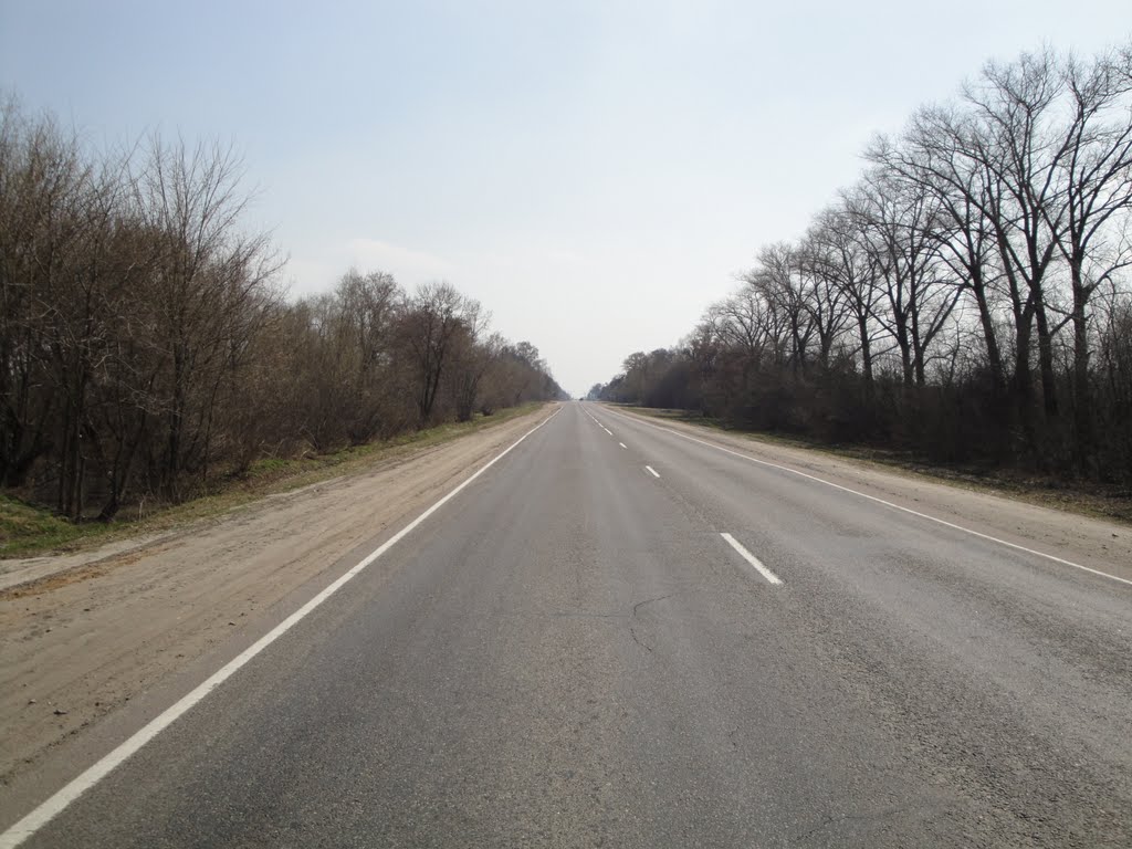 Дорога