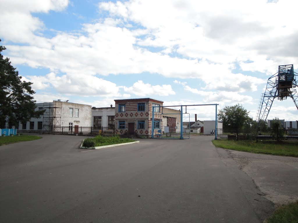 Большевик