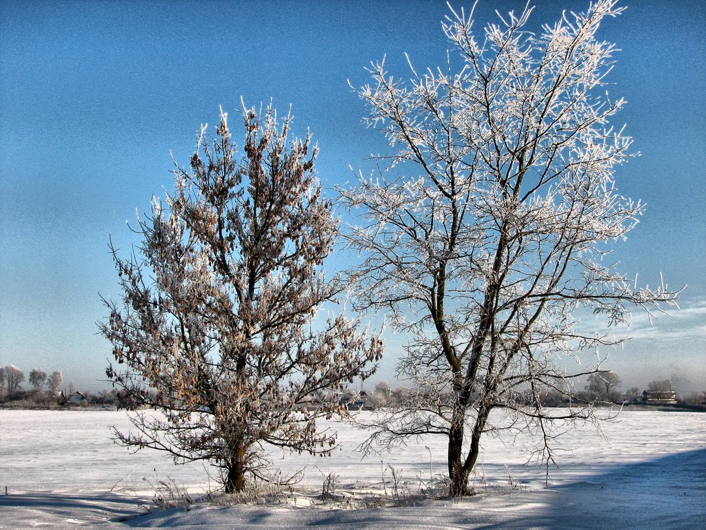 Зима 2011