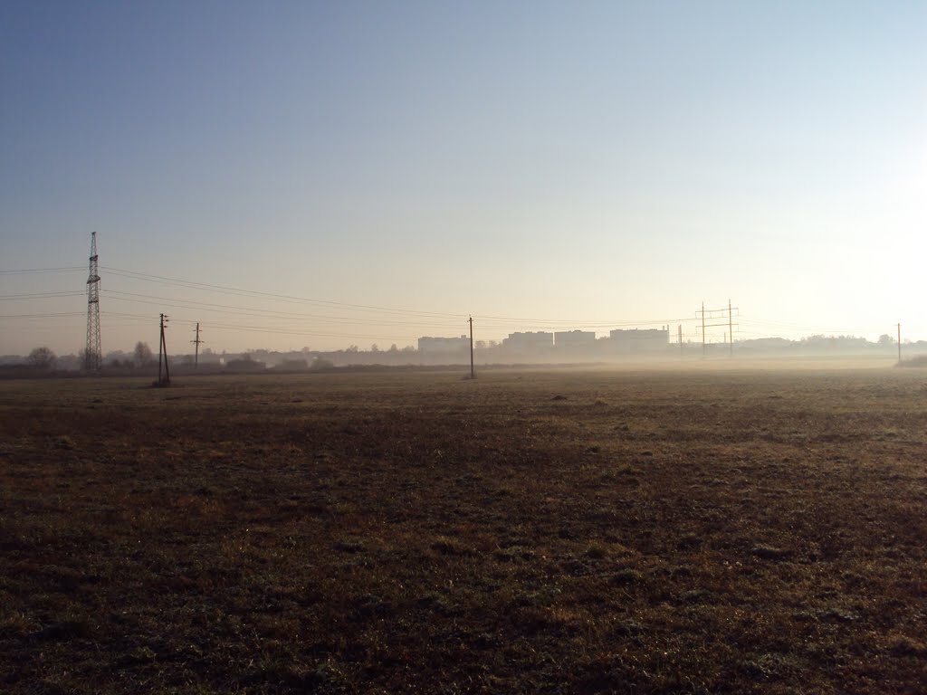 Костюковка с поля