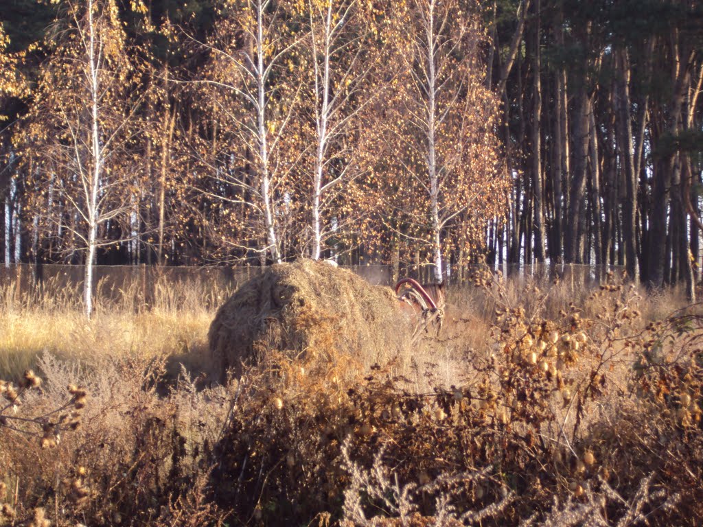 воз с сеном