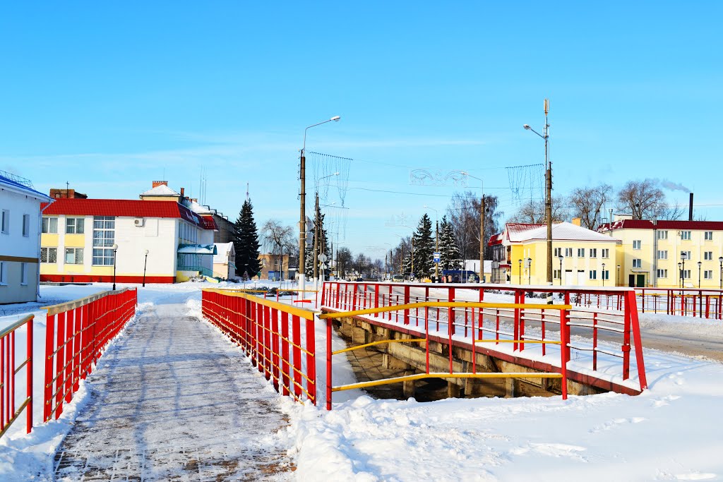 Мост в Брагине