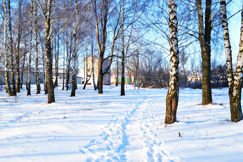 Тропинка через парк