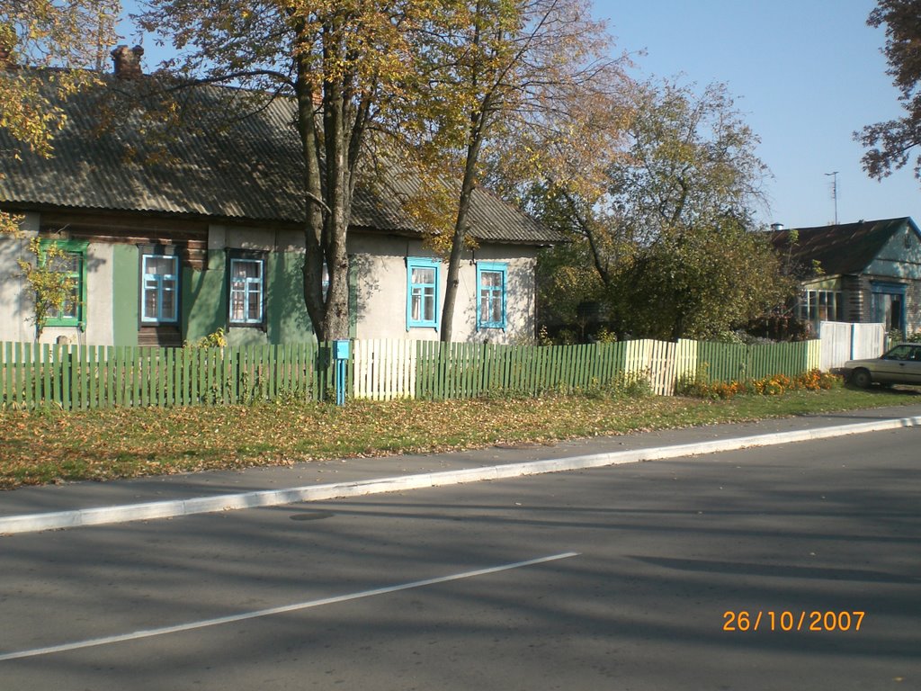 наш Брагинский дом