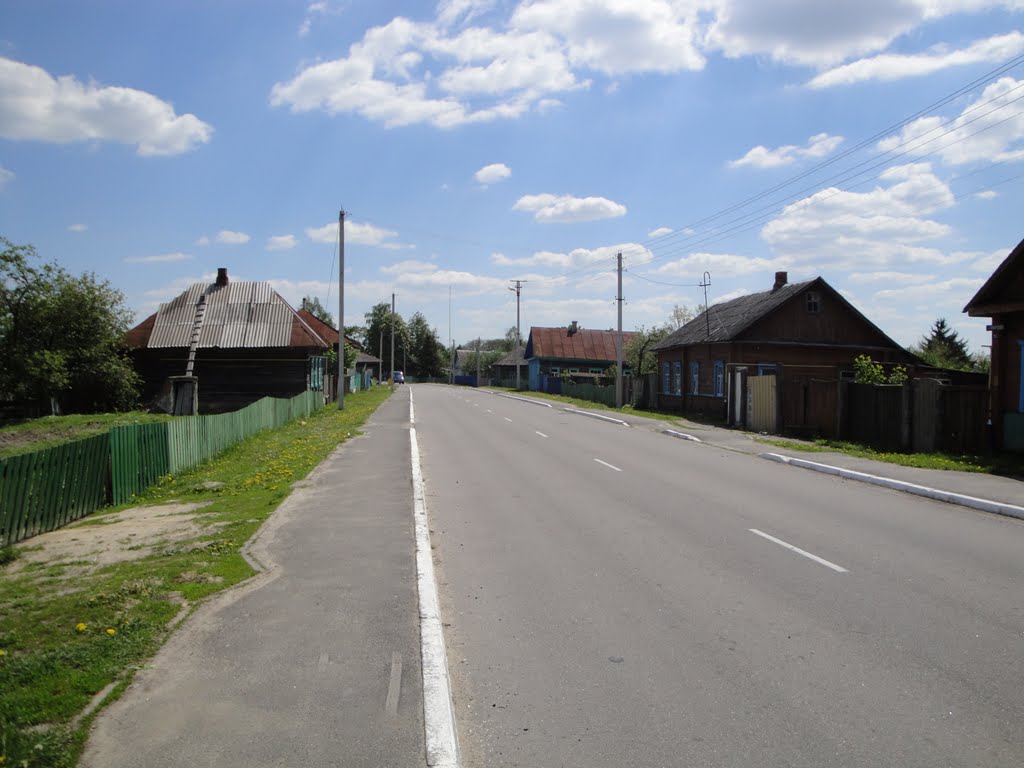 Брагин, ул. Кирова,18.05.2011