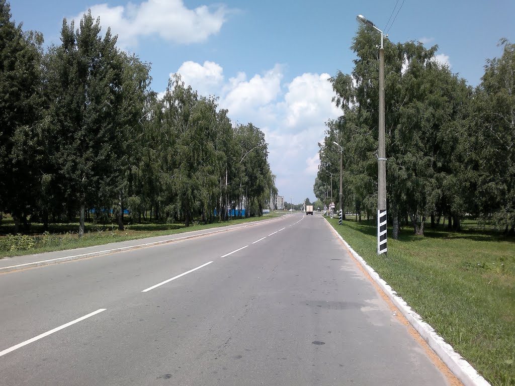 Брагин