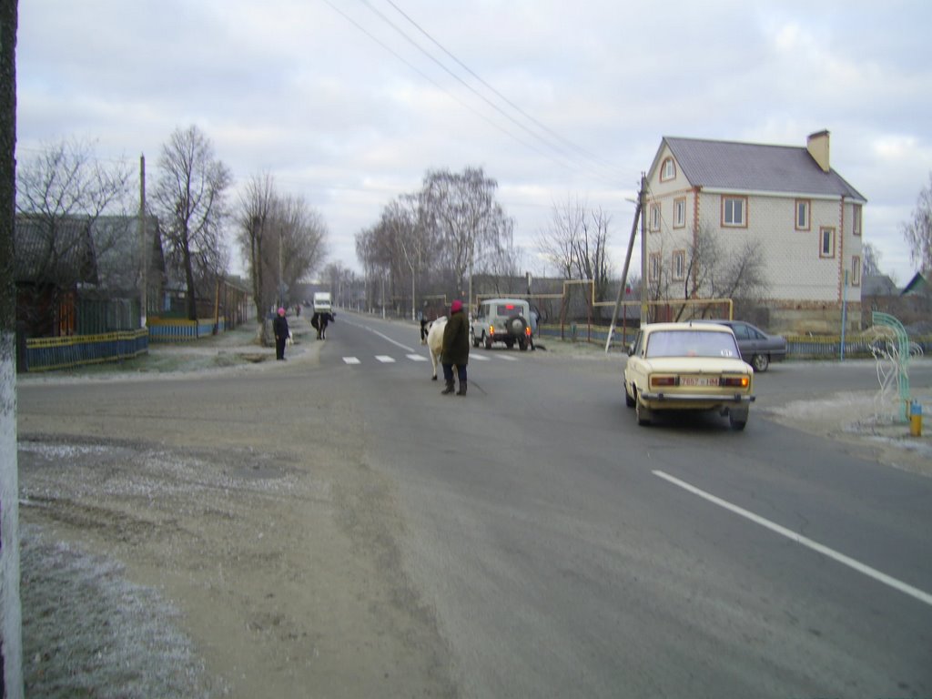 Буда Кошелёва