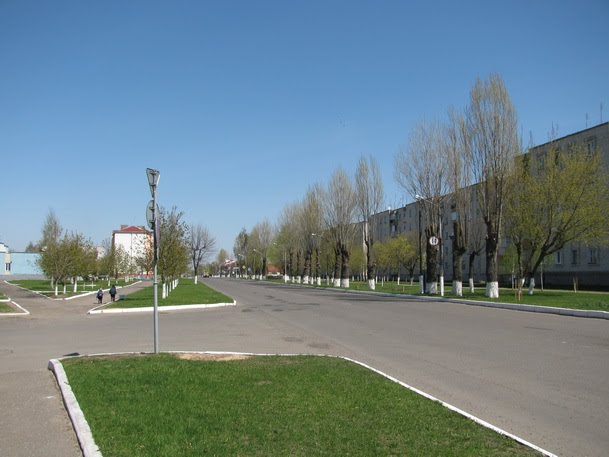 Буда-Кошелево Район автостанции
