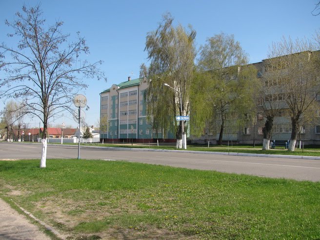 Буда-Кошелево Поворот на Жлобин
