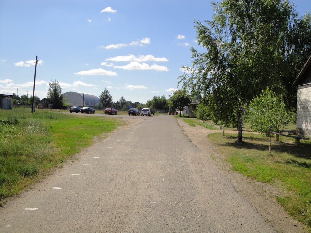 Ветка