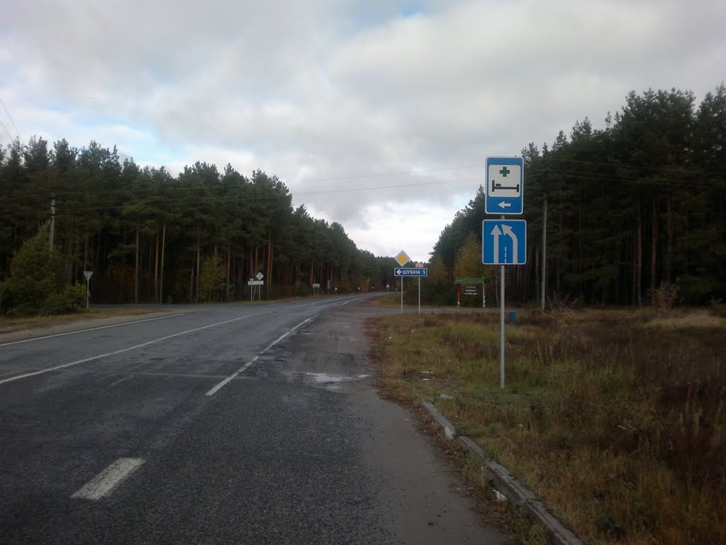 дорога Ветка-Светилови