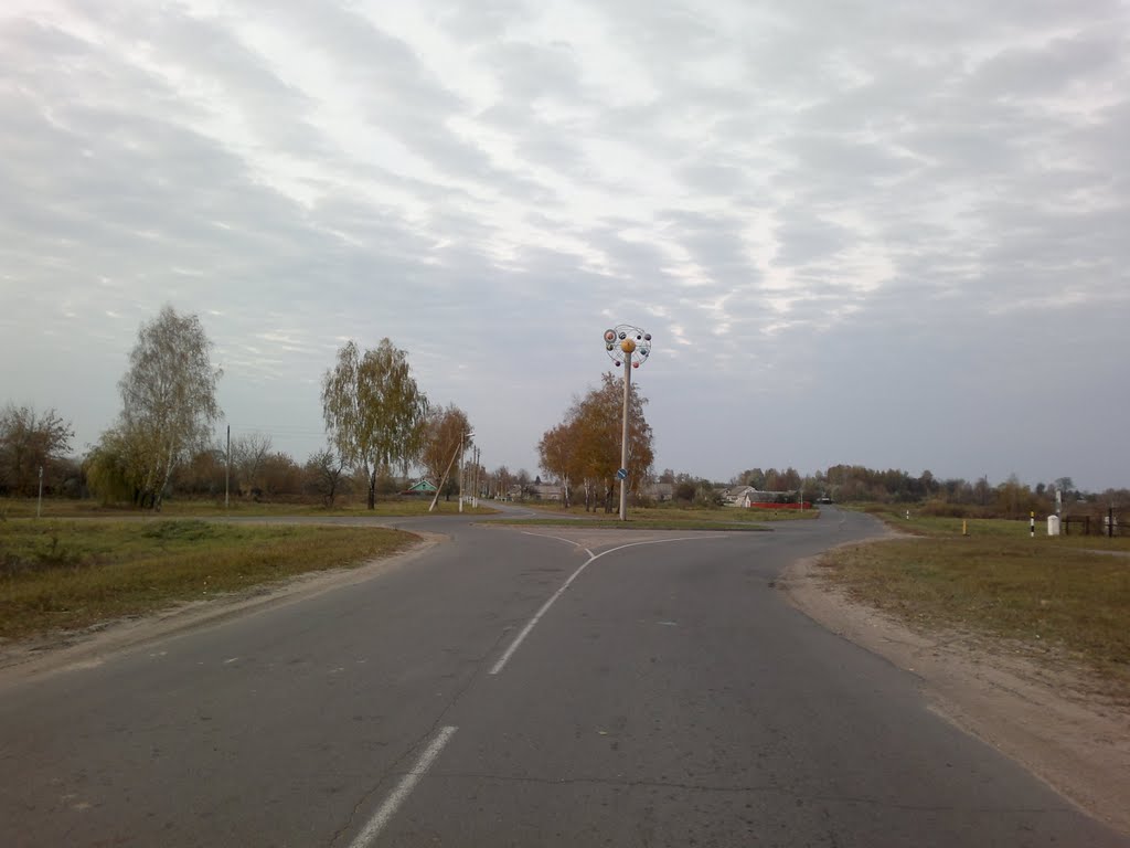 Ветка