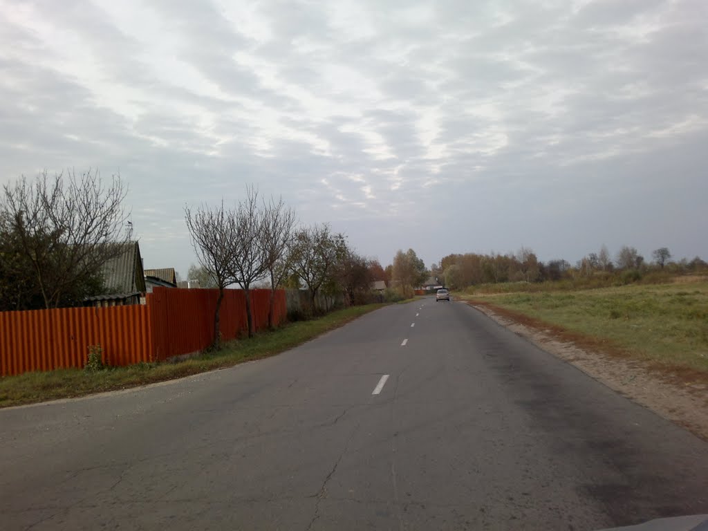 Ветка