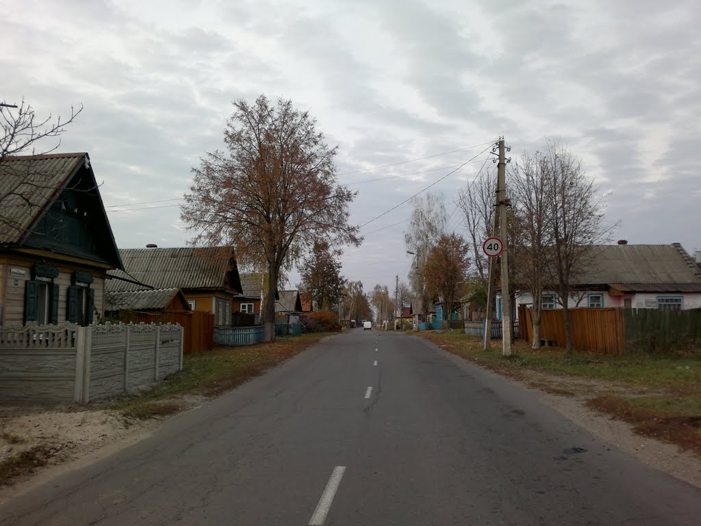 Ветка
