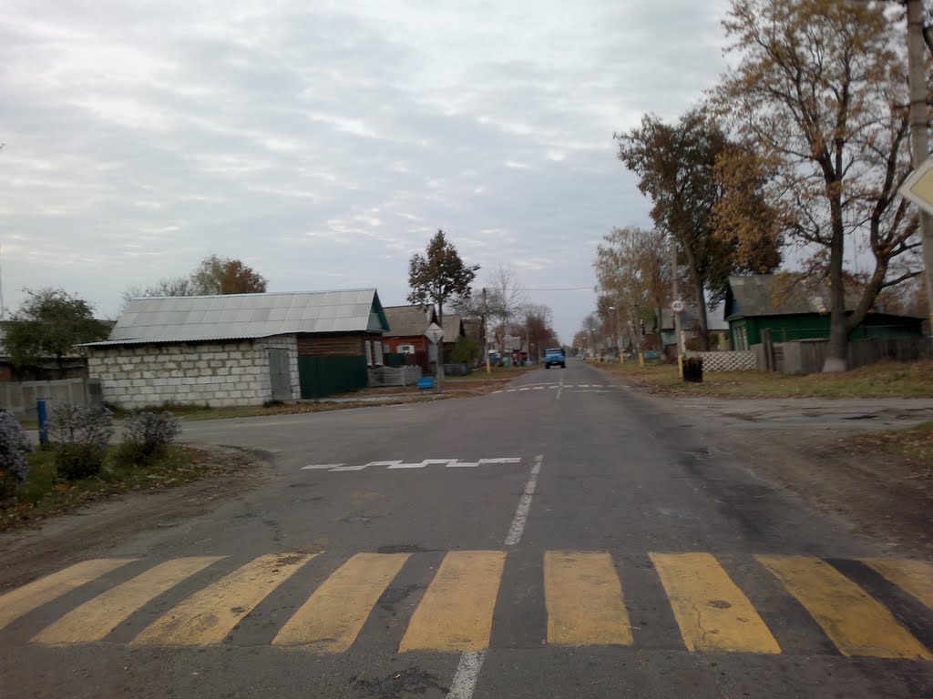 Ветка