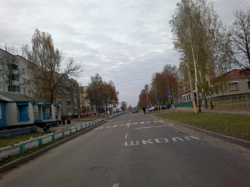 Ветка