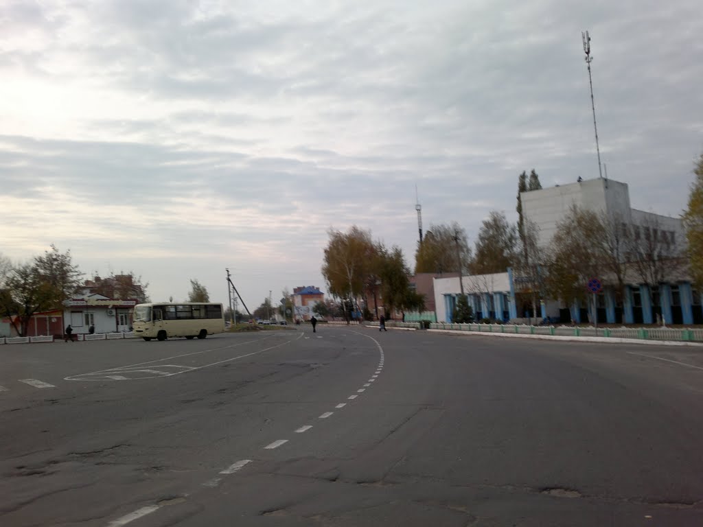 Ветка