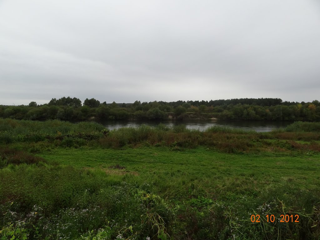 Ветка, река Сож - 2.10.2012
