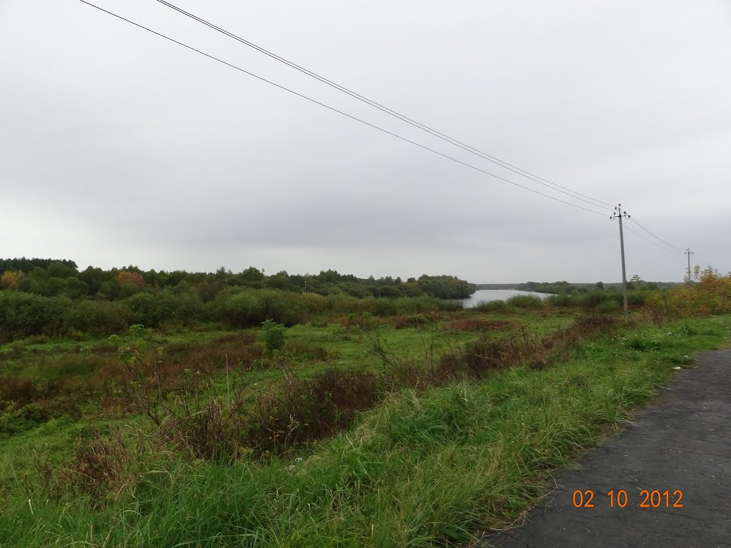 Ветка, река Сож - 2.10.2012