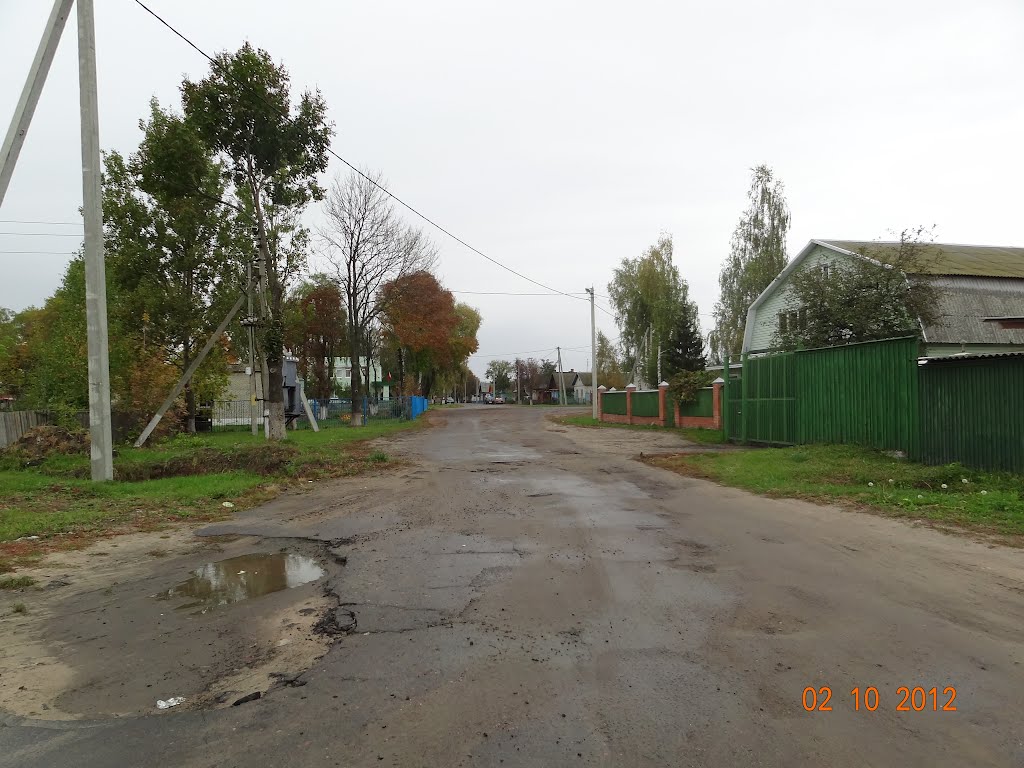 Ветка - 2.10.2012