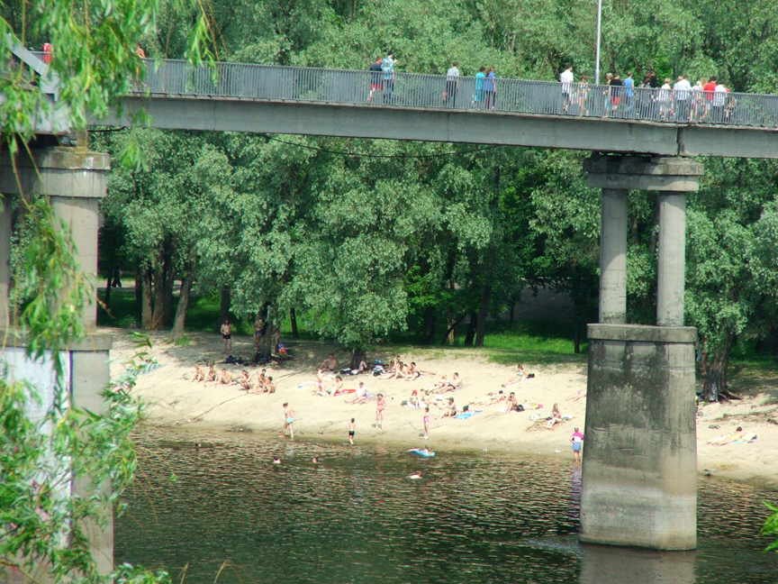 The Beach on the Sozh river